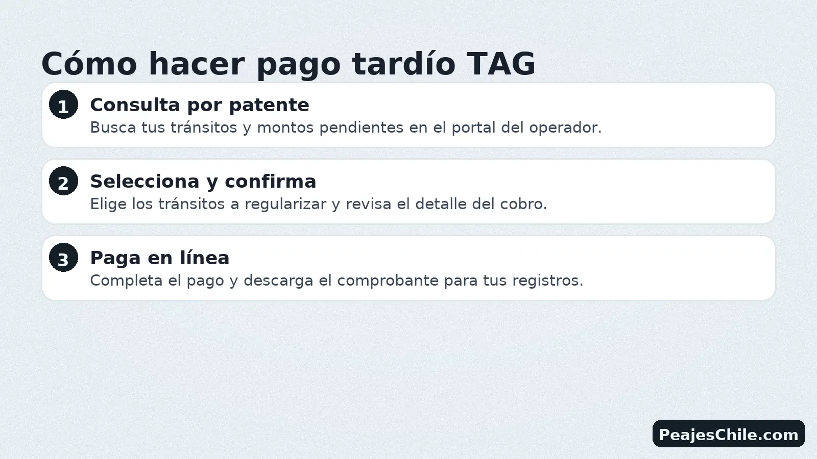 Pasos para realizar pago tardío TAG por patente en Acceso Sur