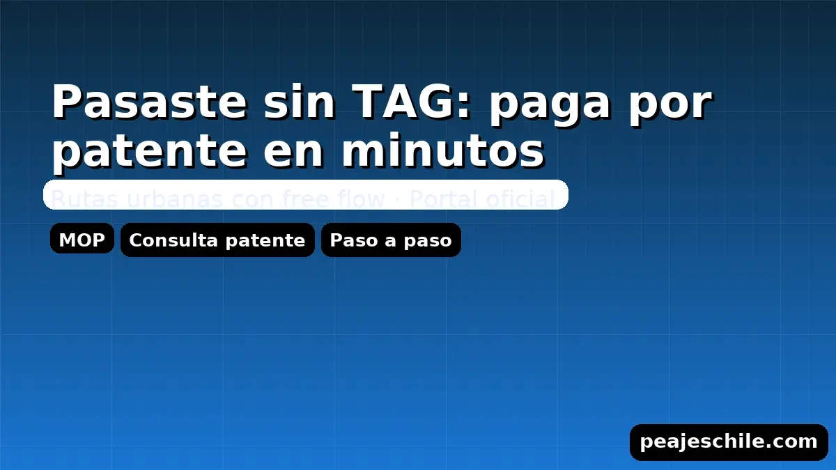 Pasaste sin TAG: paga por patente en el portal oficial del MOP – guía rápida (peajeschile.com)