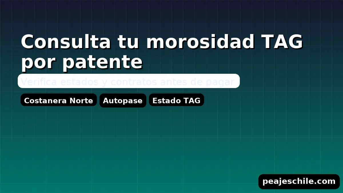 Consulta tu morosidad TAG por patente: estados y contratos con concesionarias (peajeschile.com)