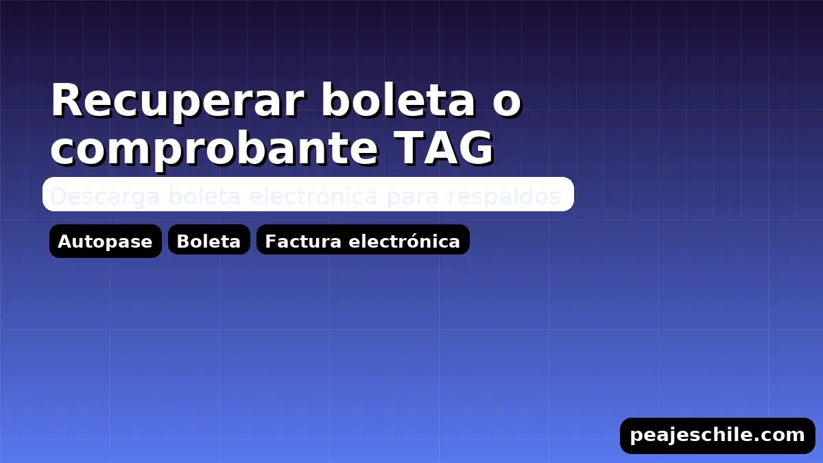 Recuperar boleta o comprobante TAG: descarga de boleta electrónica para respaldo (peajeschile.com)