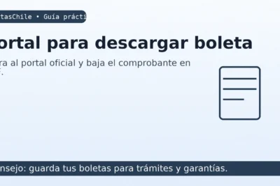 Portal para descargar boleta — guía MultasChile